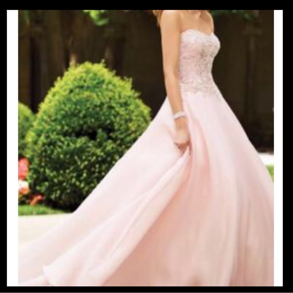 David Tutera’s Adalina!